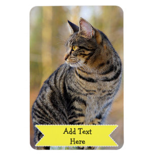 Íman Personalize um animal de estimação da família o
