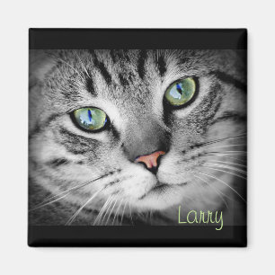 Íman Personalize um ímã com seu animal de estimação