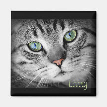 Personalize um ímã com seu Pet favorito!