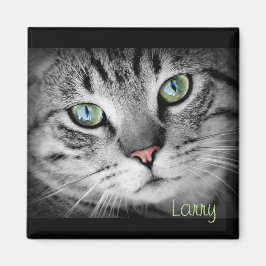 Íman Personalize um ímã com seu Pet favorito!