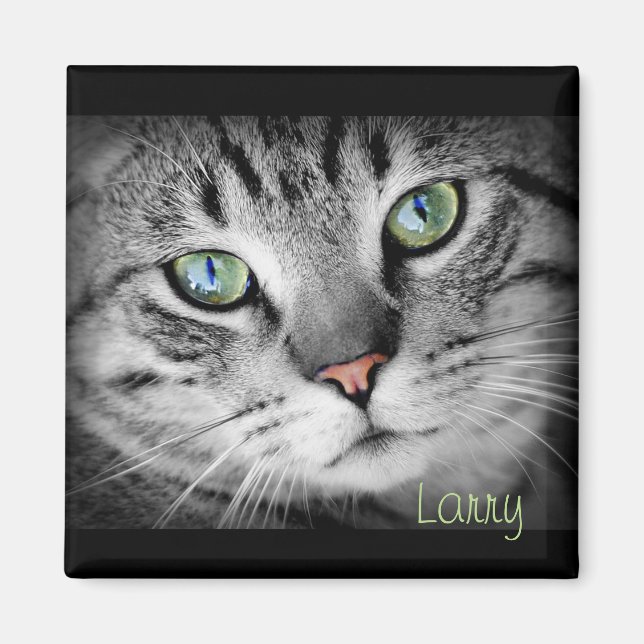 Íman Personalize um ímã com seu Pet favorito! (Frente)