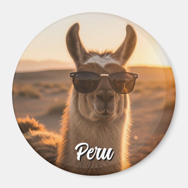 Íman Peru Llama em óculos escuros (Frente)