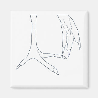 Íman pés de galinha