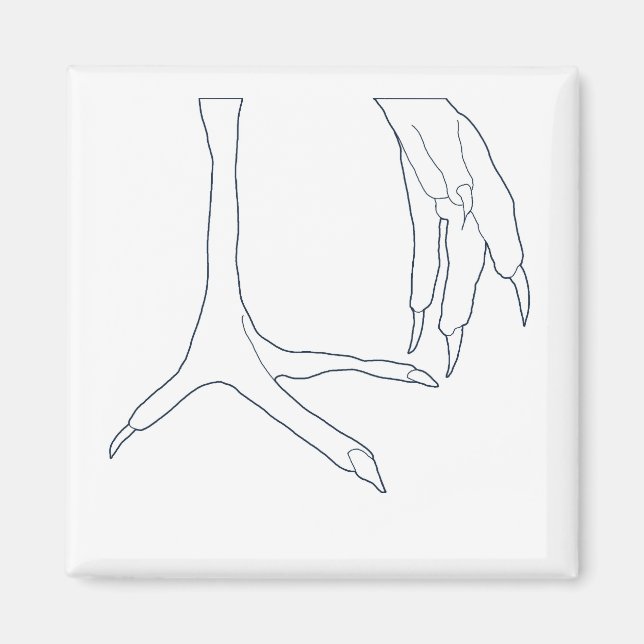 Íman pés de galinha (Frente)