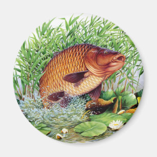 Íman Pesca da carpa