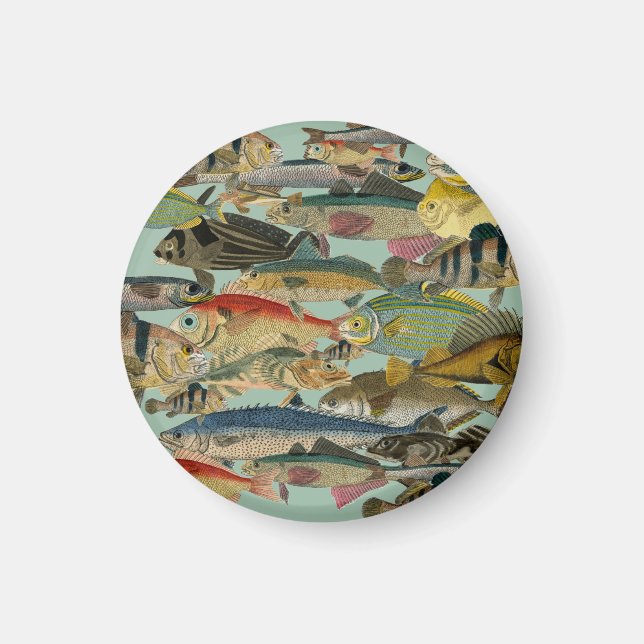 Íman Pesca de profundidade Pesca exótica Tropical (Frente)