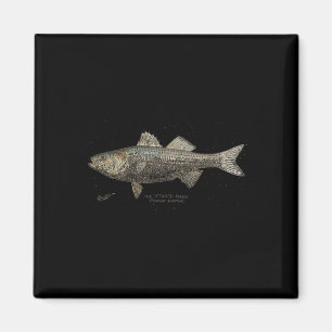 Íman Pesca de Raba Rabada