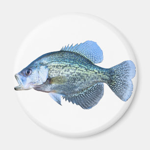 Íman Pesca do tipo de peixe