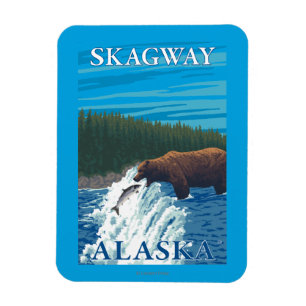 Íman Pesca do urso no rio - Skagway, Alaska