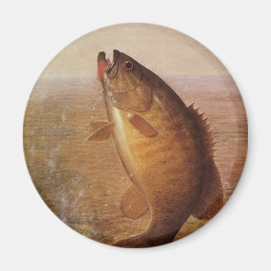 Íman Pesca Vintage, Pequena Boca de Robalo Saltando na