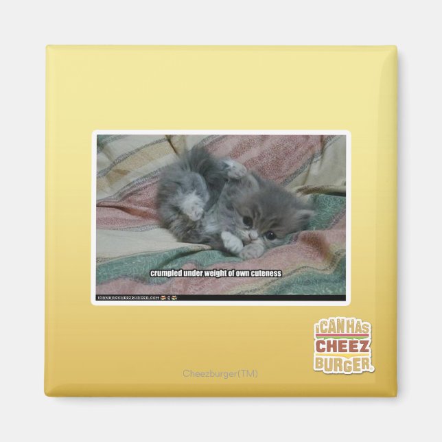 Íman Peso da própria beleza (Frente)