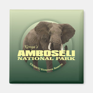 Íman PESO de Amboseli NP (elefante africano)