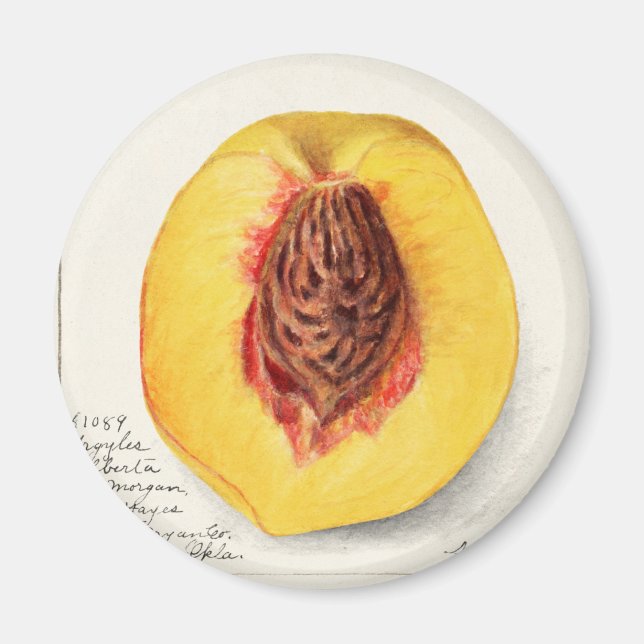 Íman Pêssego (Frente)