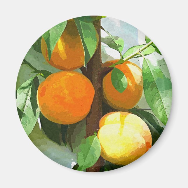 ÍMAN PÊSSEGOS (Frente)