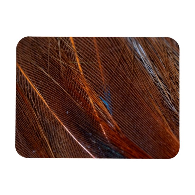 Íman Peste Colorida em Detalhe (Horizontal)