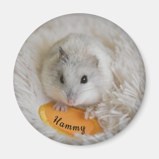 Íman Pet de Hamster Branco Personalizado (Frente)