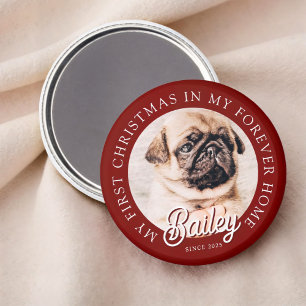 Íman Pet é o meu primeiro Natal em Forever Home Modern