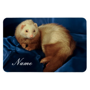 Íman Pet Ferret Personalizado