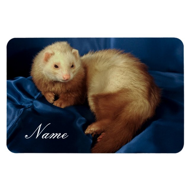 Íman Pet Ferret Personalizado (Horizontal)