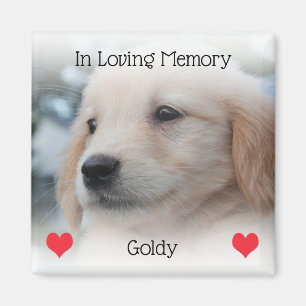 Íman Pet Memorial com Corações e Foto