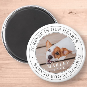 Íman Pet Memorial Forever Em Nossos Corações Foto Mod