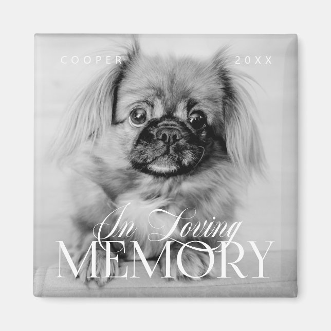 Íman Pet Memorial Loving Memory Simple Modern Photo (Frente)