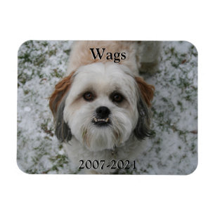 Íman Pet Memorial Magnet