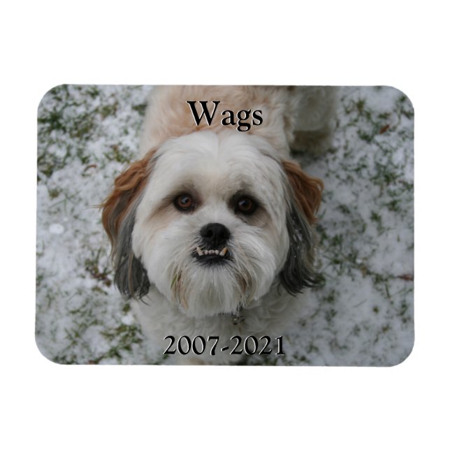 Íman Pet Memorial Magnet (Horizontal)