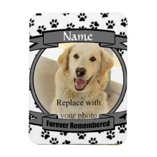 Íman Pet Memorial - Nunca Lembrado