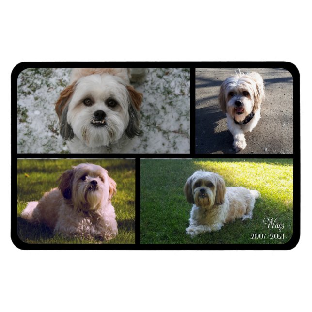 Íman Pet Memorial Photo Collage Name com Datas (Horizontal)
