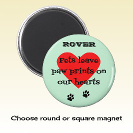 Íman Pet memory custom name paw imprime aqua