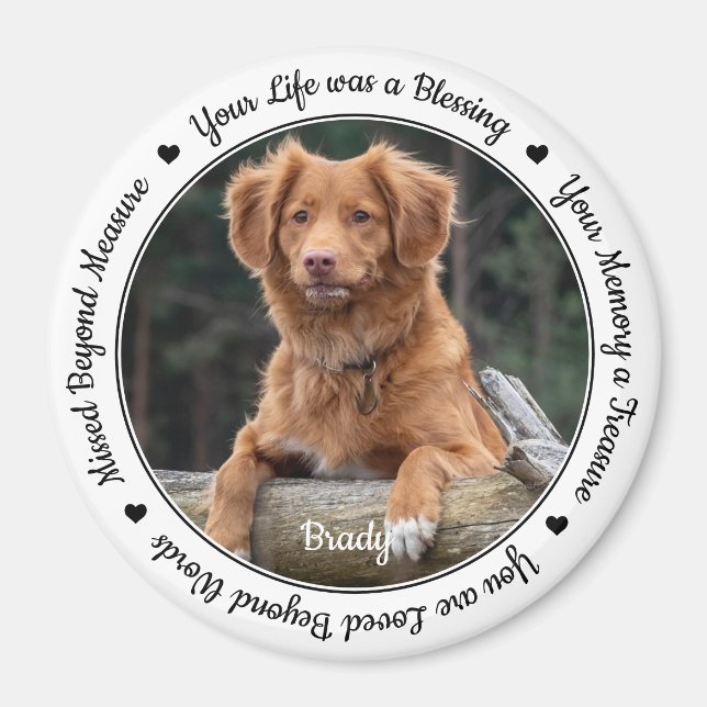 Íman Pet Perde Simpatia Keepsasasaet Memorial (Frente)