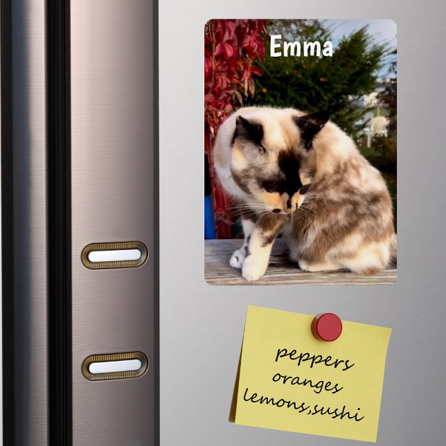 Íman Pet Personalizado da Família, Refrigerador de Foto (Criador carregado)