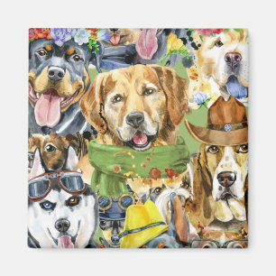Íman Pet Pets de Cães
