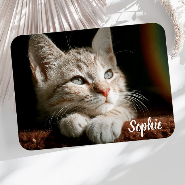 Íman Pet Photo Block (Cat Photo Magnet)