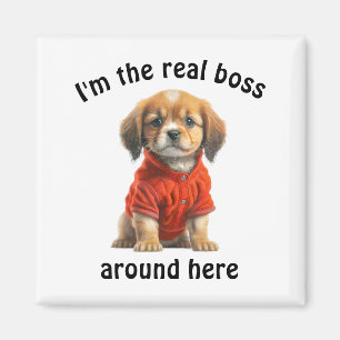 Íman Pet Photo Boss Dog Personalizado