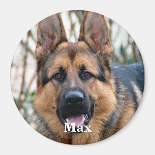 Íman Pet Photo - Cachorro - Cat - Pet Memorial