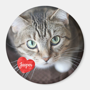 Íman Pet Photo - Cachorro - Cat - Pet Memorial