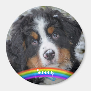 Íman Pet Photo - Cão - Cat - Pet Memorial