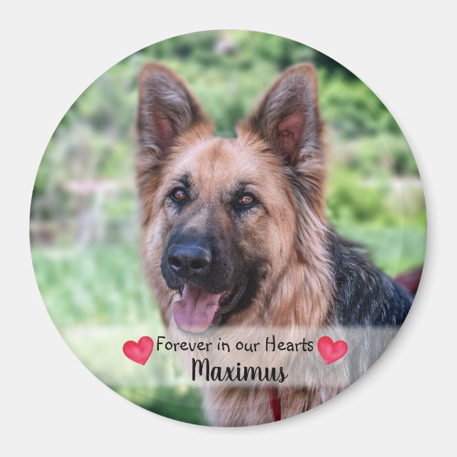 Íman Pet Photo - Cão - Cat - Pet Memorial (Frente)