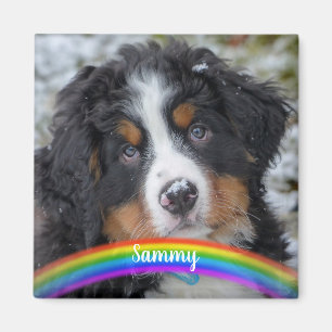 Íman Pet Photo - Cão - Cat - Pet Memorial