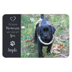 Íman Pet Photo - Dog Photo - Cat Photo - Pet Memorial