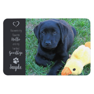 Íman Pet Photo - Dog Photo - Cat Photo - Pet Memorial