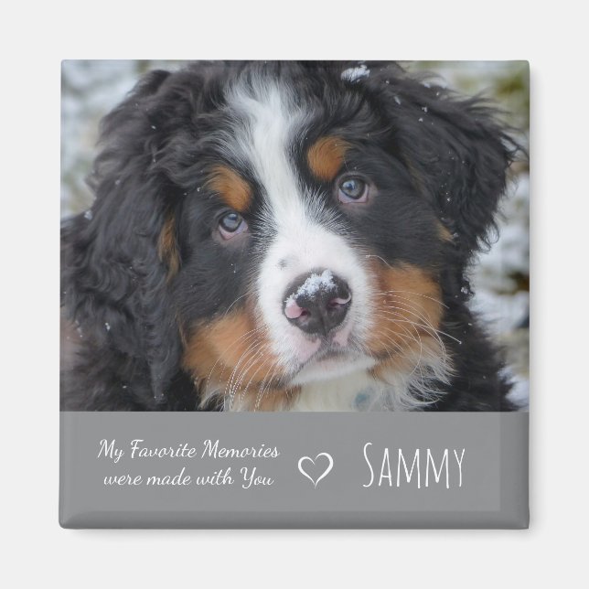 Íman Pet Photo Memorial-Dog Lover Gift - Pet Losse Cita (Frente)