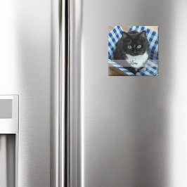 Íman Pet Sticker com Nome