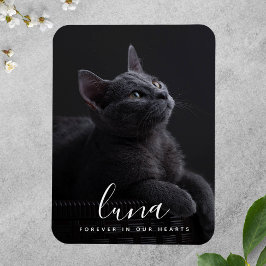 Íman Pet Sympathy Memorial Tribute Lembrança