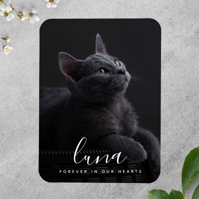 Íman Pet Sympathy Memorial Tribute Lembrança (Photo Memorial Magnet)