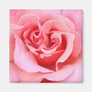 Íman Pétalas cor-de-rosa