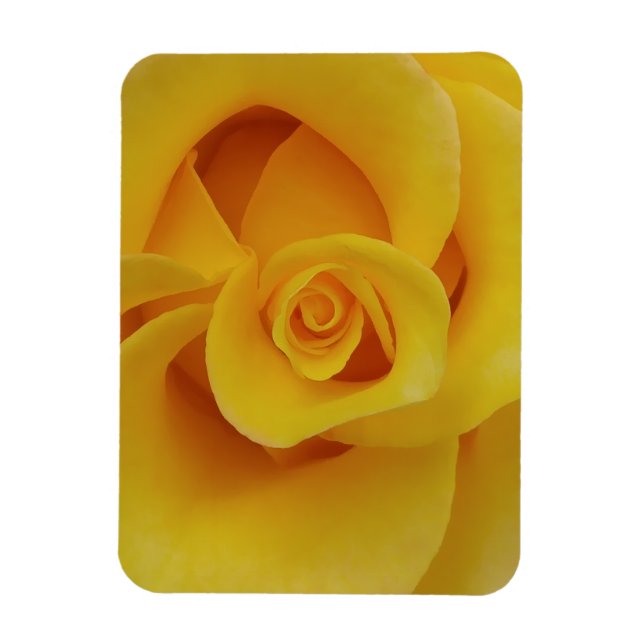 Íman Pétalas de Rosa Amarela Romântica (Vertical)