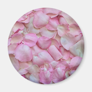 Íman Pétalas Rosa Rosa Rosa Rosa Rosa Rosa